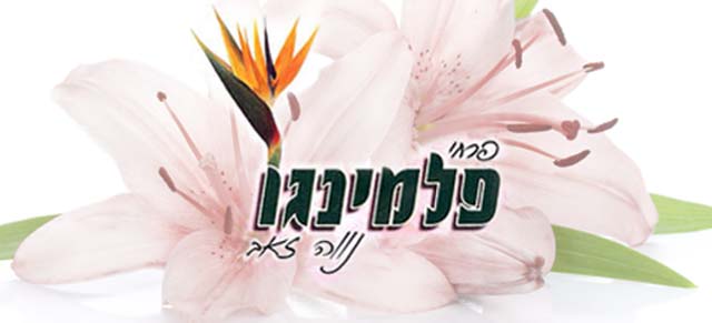 נווה זאב פלמינגו